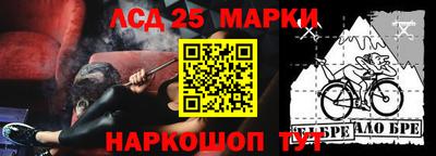 спиды Сланцы