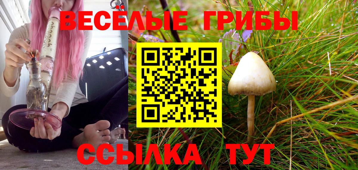 Псилоцибиновые грибы мицелий  Псилоцибиновые грибы GOLDEN TEACHER  Вход с VPN  где найти   Осинники 